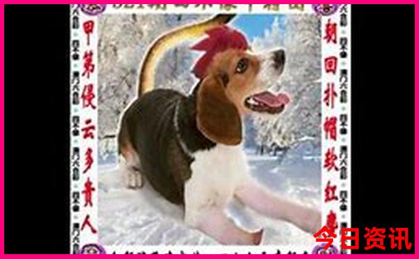 重庆8月适合旅游吗